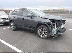 2T3R1RFV5KW028449 2019 TOYOTA RAV 4