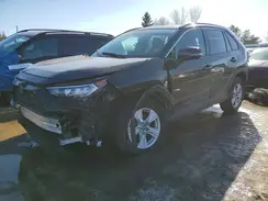 2T3R1RFV5LC104559 2020 TOYOTA RAV 4