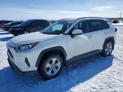 2T3R1RFV5MC166335 2021 TOYOTA RAV 4