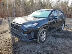 2T3R1RFV5PC343146 2023 TOYOTA RAV 4
