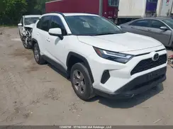 2T3R1RFV5PC360061 2023 TOYOTA RAV 4