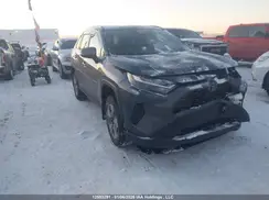 2T3R1RFV5PC372310 2023 TOYOTA RAV 4