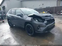 2T3R1RFV5PC376504 2023 TOYOTA RAV 4