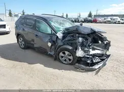 2T3R1RFV5RC425199 2024 TOYOTA RAV 4