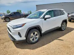 2T3R1RFV5RC429494 2024 TOYOTA RAV 4