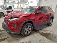 2T3R1RFV5RW438260 2024 TOYOTA RAV 4