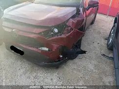2T3R1RFV5RW460498 2024 TOYOTA RAV 4