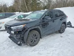 2T3R1RFV5SC568515 2025 TOYOTA RAV 4