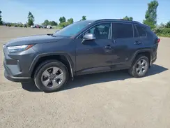 2T3R1RFV6PC329143 2023 TOYOTA RAV 4