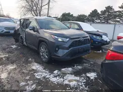 2T3R1RFV6PC331183 2023 TOYOTA RAV 4