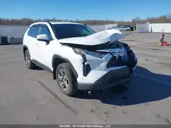2T3R1RFV6PC383882 2023 TOYOTA RAV 4