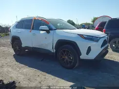 2T3R1RFV6RC416141 2024 TOYOTA RAV 4