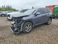 2T3R1RFV6RC450466 2024 TOYOTA RAV 4