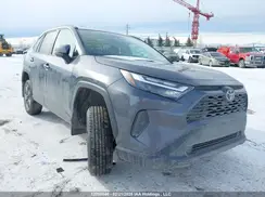 2T3R1RFV6RC474816 2024 TOYOTA RAV 4