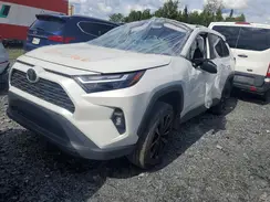 2T3R1RFV6RW449686 2024 TOYOTA RAV 4