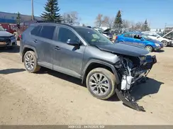 2T3R1RFV6SW525333 2025 TOYOTA RAV 4