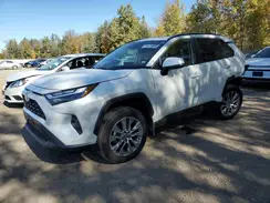 2T3R1RFV6SW553438 2025 TOYOTA RAV 4