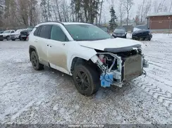 2T3R1RFV7LC129334 2020 TOYOTA RAV 4