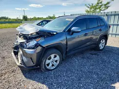 2T3R1RFV7MC171021 2021 TOYOTA RAV 4