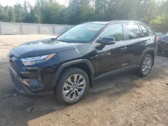 2T3R1RFV7PC365648 2023 TOYOTA RAV 4