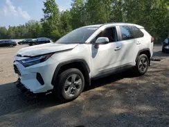 2T3R1RFV7PC378769 2023 TOYOTA RAV 4