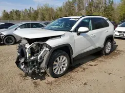 2T3R1RFV7PW381430 2023 TOYOTA RAV 4