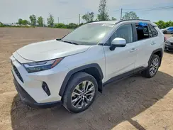 2T3R1RFV7PW381461 2023 TOYOTA RAV 4