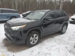 2T3R1RFV7RC397180 2024 TOYOTA RAV 4