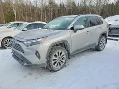 2T3R1RFV7RC444160 2024 TOYOTA RAV 4