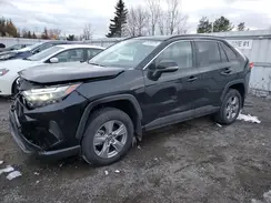 2T3R1RFV7SC525195 2025 TOYOTA RAV 4
