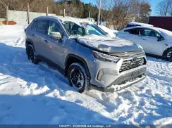 2T3R1RFV7SW614344 2025 TOYOTA RAV 4