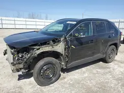 2T3R1RFV8KC023960 2019 TOYOTA RAV 4