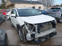 2T3R1RFV8KW012262 2019 TOYOTA RAV 4