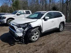2T3R1RFV8MC227161 2021 TOYOTA RAV 4
