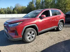 2T3R1RFV8NW309004 2022 TOYOTA RAV 4