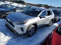 2T3R1RFV8PC334828 2023 TOYOTA RAV 4