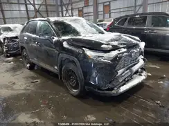2T3R1RFV8PC369529 2023 TOYOTA RAV 4