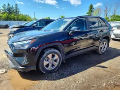 2T3R1RFV8PC385875 2023 TOYOTA RAV 4