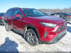 2T3R1RFV8PW404763 2023 TOYOTA RAV 4