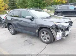 2T3R1RFV8RC430445 2024 TOYOTA RAV 4