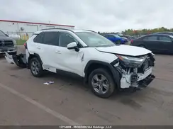 2T3R1RFV8RC479144 2024 TOYOTA RAV 4