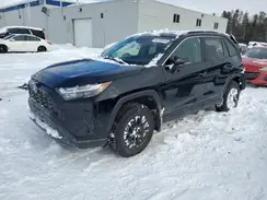 2T3R1RFV8RC486658 2024 TOYOTA RAV 4