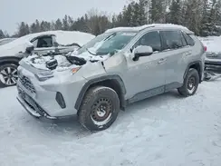 2T3R1RFV8RW458616 2024 TOYOTA RAV 4