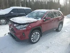 2T3R1RFV8SW507609 2025 TOYOTA RAV 4