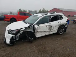 2T3R1RFV9KW012366 2019 TOYOTA RAV 4