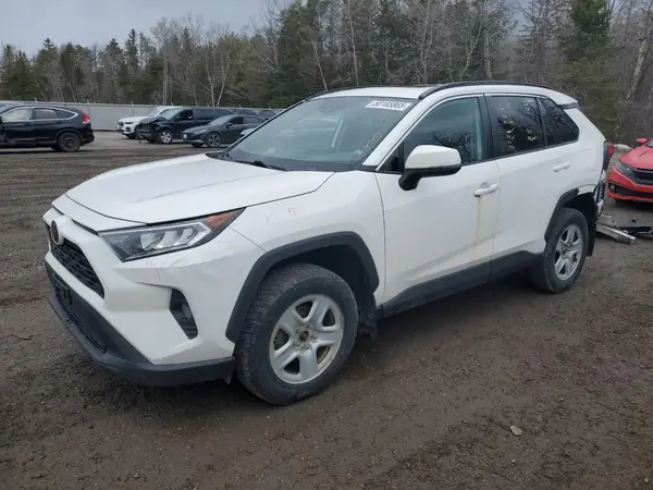 2T3R1RFV9KW040491 2019 TOYOTA RAV 4 - Image 1