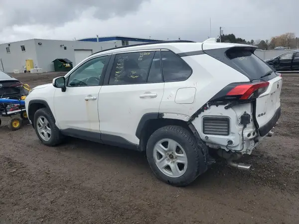 2T3R1RFV9KW040491 2019 TOYOTA RAV 4 - Image 2