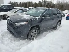 2T3R1RFV9PC360631 2023 TOYOTA RAV 4