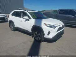 2T3R1RFV9PC373458 2023 TOYOTA RAV 4