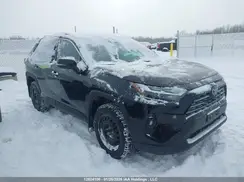 2T3R1RFV9PC375632 2023 TOYOTA RAV 4